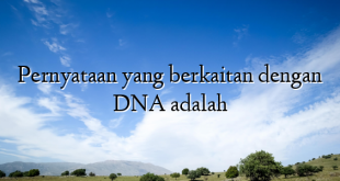 Pernyataan yang berkaitan dengan DNA adalah